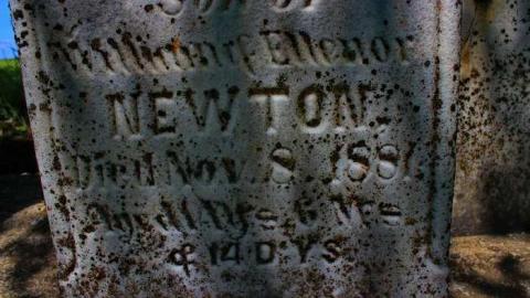 Anglican Pioneer Cemetery photo 5