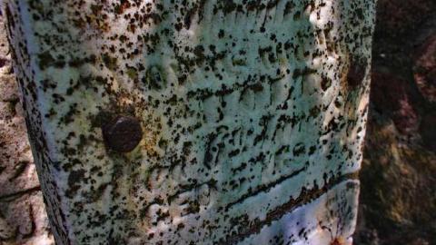 By the lake - Anglican-Pioneer-Cemetery5.jpg