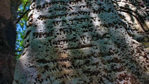 By the lake - Anglican-Pioneer-Cemetery9.jpg