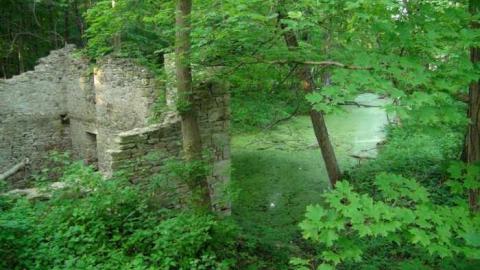 June 2013 - Barber-Dynamo13.jpg