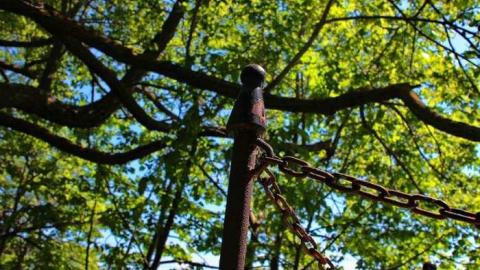 Hidden past - Walker-Pioneer-Cemetery10.jpg