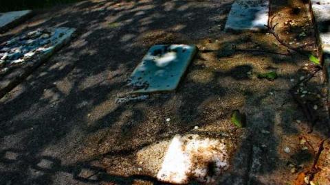 Hidden past - Walker-Pioneer-Cemetery6.jpg