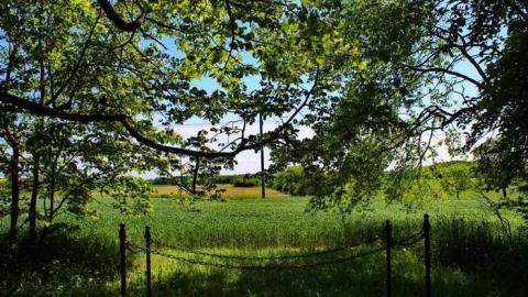 Hidden past - Walker-Pioneer-Cemetery3.jpg