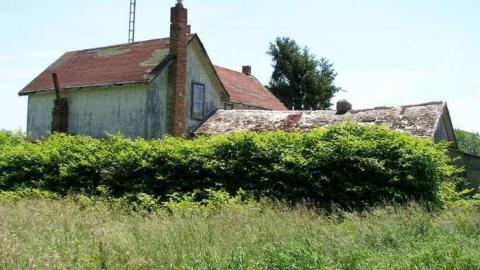 Sommerfeldt Stickley photo 4