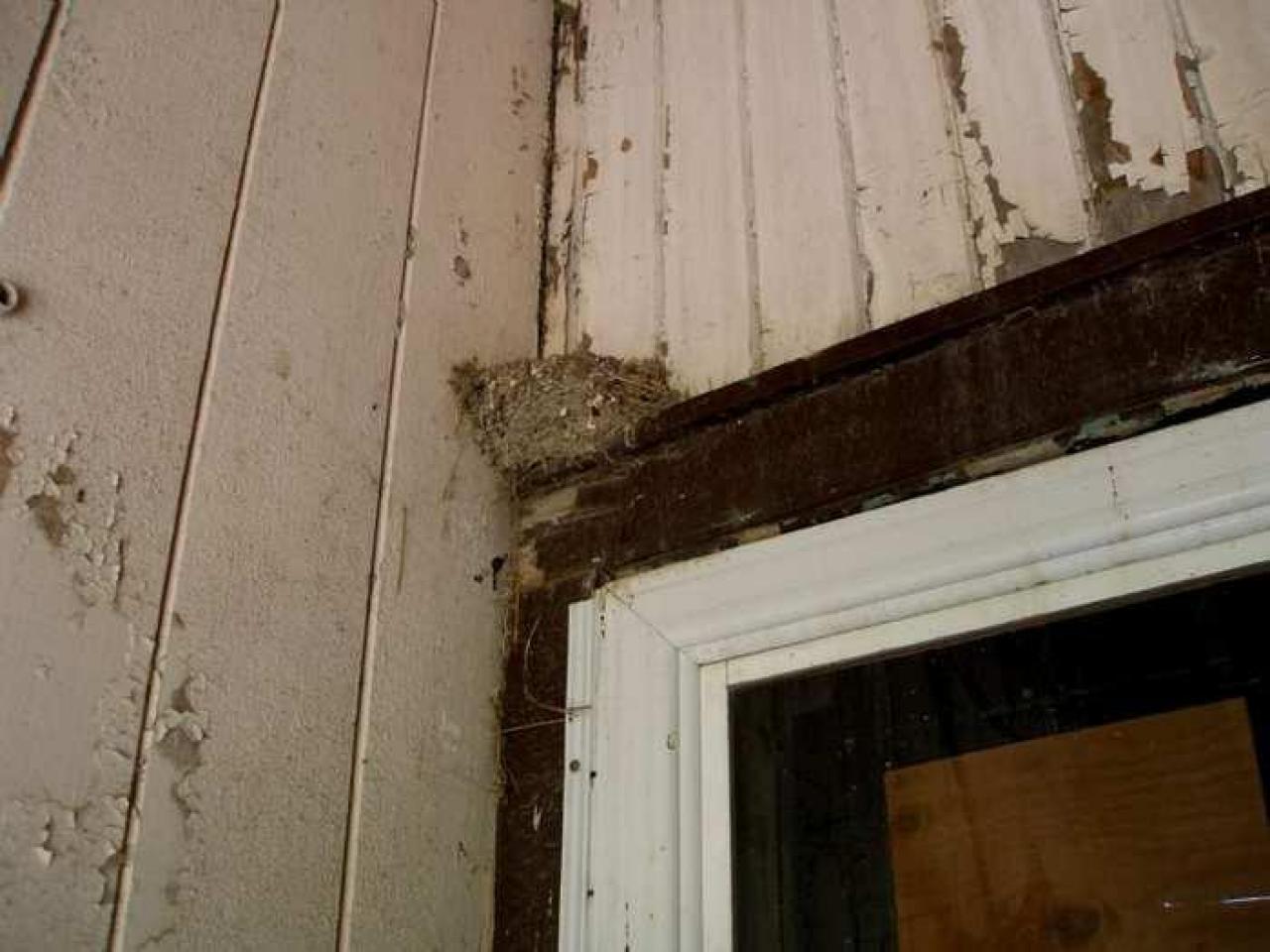 1876 At Least - P6202291.jpg