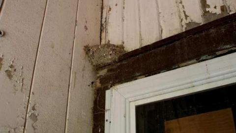 1876 At Least - P6202291.jpg