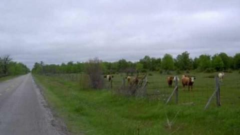 The road that got swallowed - Legendary-Road-Swallowed-Whole22.jpg