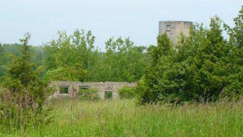 Mi Casa - P1110752.jpg