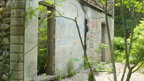 Mi Casa - P1110754.jpg