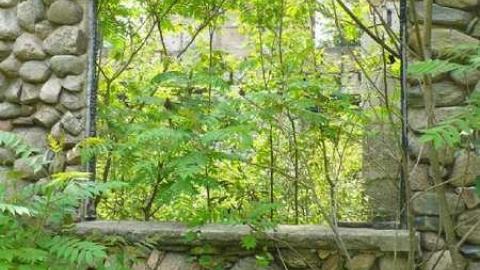 Mi Casa - P1110755.jpg