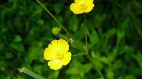 Mi Casa - P1110759.jpg