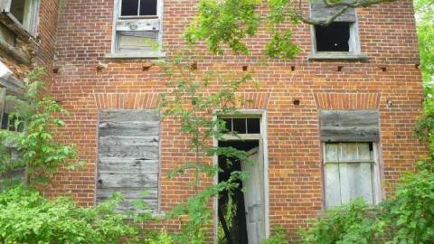 Covering My Bass - P1110797.jpg