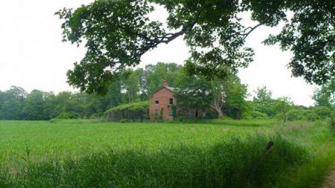 Covering My Bass - P1110766.jpg