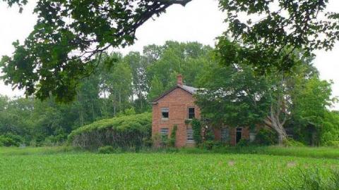 Covering My Bass - P1110767.jpg