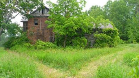 Covering My Bass - P1110768.jpg