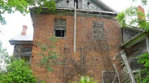 Covering My Bass - P1110769.jpg