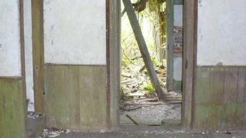 Covering My Bass - P1110770.jpg