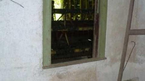 Covering My Bass - P1110772.jpg