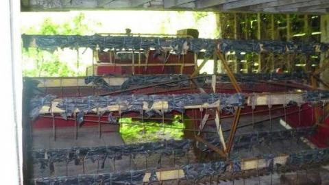 Covering My Bass - P1110773.jpg