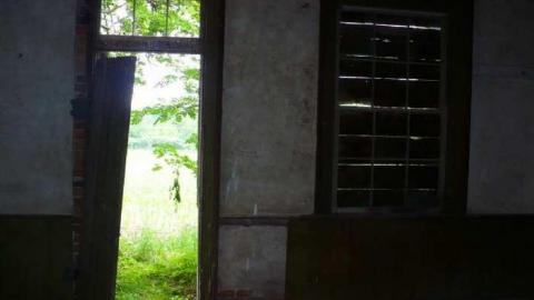 Covering My Bass - P1110774.jpg