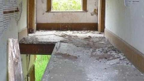 Covering My Bass - P1110775.jpg