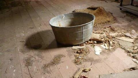 Covering My Bass - P1110778.jpg