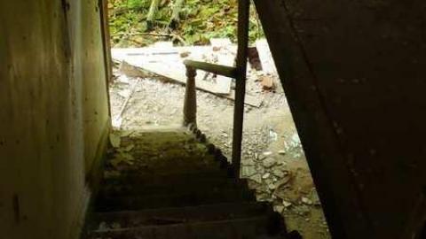 Covering My Bass - P1110781.jpg