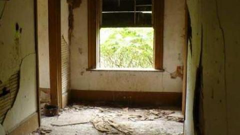 Covering My Bass - P1110785.jpg