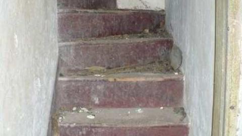 Covering My Bass - P1110786.jpg