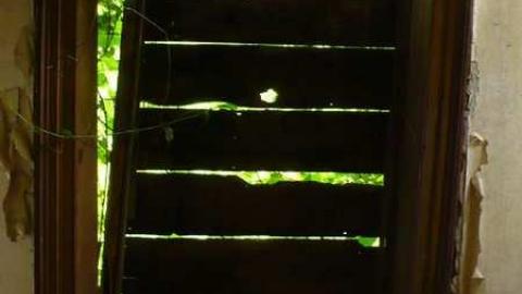 Covering My Bass - P1110789.jpg