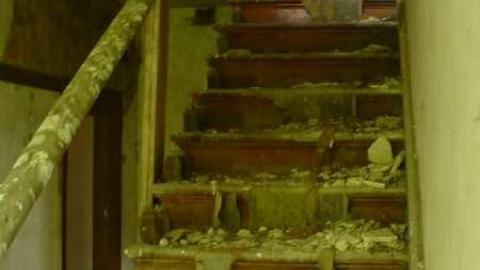 Covering My Bass - P1110792.jpg