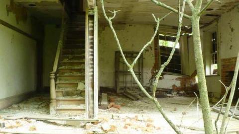 Covering My Bass - P1110793.jpg