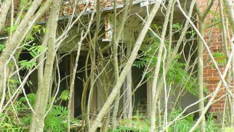 Covering My Bass - P1110794.jpg