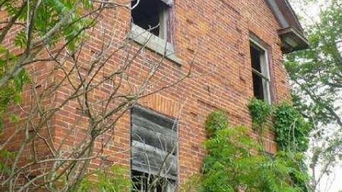 Covering My Bass - P1110795.jpg