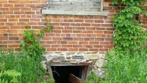 Covering My Bass - P1110796.jpg