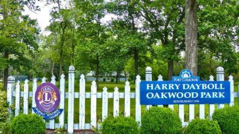 Short not to sweet - Lionless-Den4.jpg