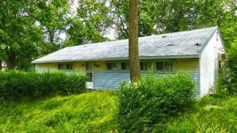 Short not to sweet - Lionless-Den5.jpg