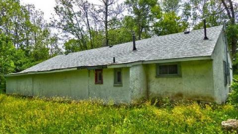 Short not to sweet - Lionless-Den6.jpg