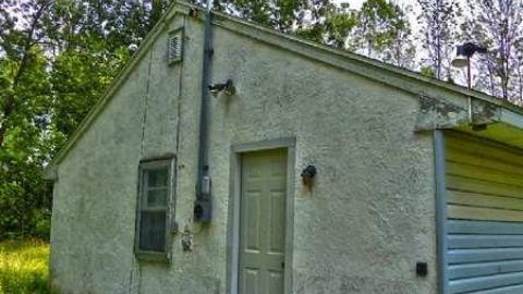 Short not to sweet - Lionless-Den3.jpg