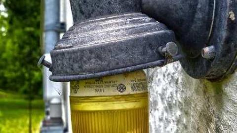 Short not to sweet - Lionless-Den7.jpg