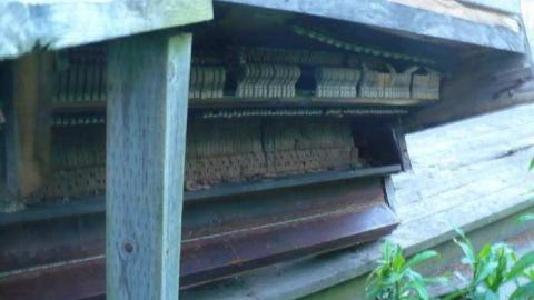 Bond Header - Bond-Head-Bond38.jpg