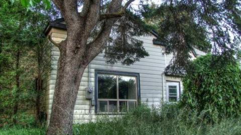 Abbey Norval - AB-Norval5.jpg