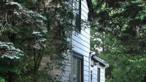 Abbey Norval - AB-Norval16.jpg