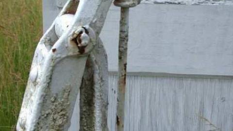 Abbey Norval - AB-Norval13.jpg