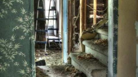 Abbey Norval - AB-Norval14.jpg