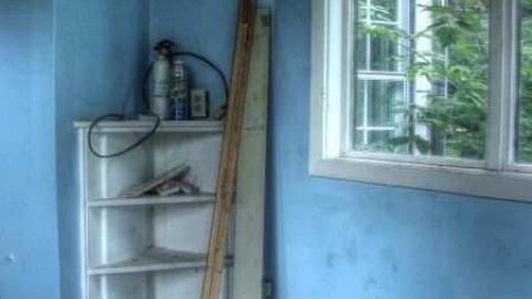 Abbey Norval - AB-Norval19.jpg