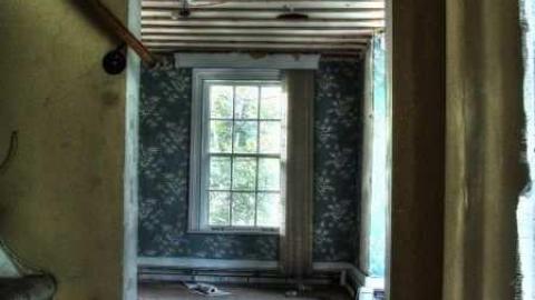 Abbey Norval - AB-Norval15.jpg