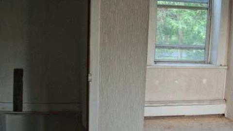 Abbey Norval - AB-Norval21.jpg