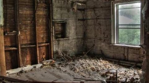 Abbey Norval - AB-Norval24.jpg