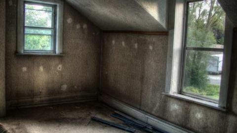 Abbey Norval - AB-Norval25.jpg